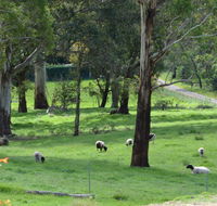 JAN'S ART STUDIO AT ASHBY RISE - Tourism Hervey Bay