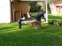 Book Kalgan Accommodation Vacations Hervey Bay Accommodation Hervey Bay Accommodation
