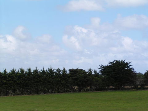 Karingal Homestead B&B - Tourism Hervey Bay 0