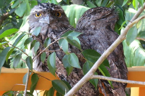 Karma Cottage - Tourism Hervey Bay 0