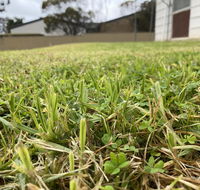 Karoonda Accommodation - Hervey Bay Accommodation