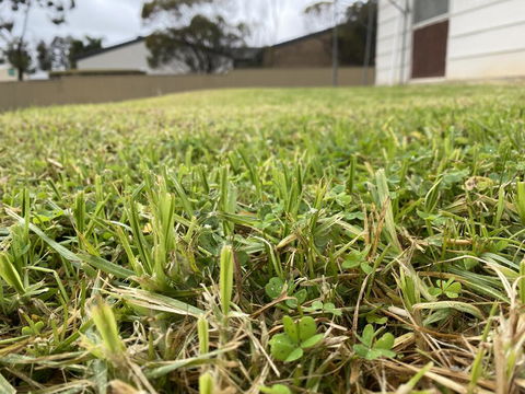 Karoonda Accommodation - Hervey Bay Accommodation 0