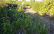 Kernow - thumb 1