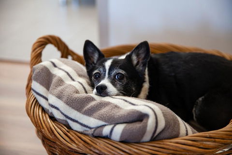 Kingaroy Country Motel - Hervey Bay Accommodation 3