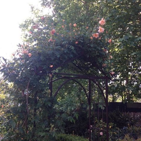 KVee Accommodation - Tourism Hervey Bay 3