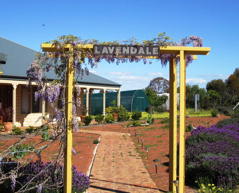 Lavendale Farmstay And Cottages York - Tourism Hervey Bay 0