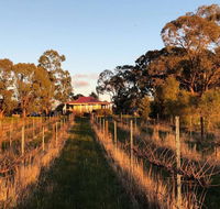 Lillicur Vineyard BB - Hervey Bay Accommodation
