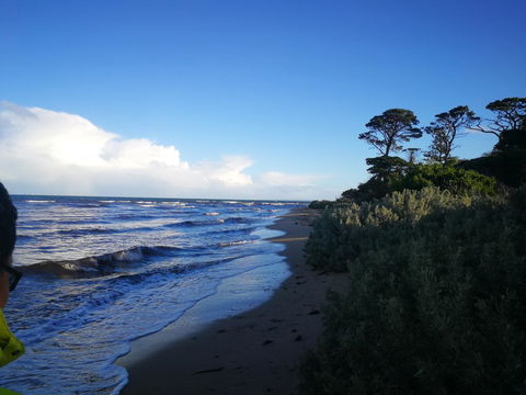 Lily Family - Tourism Hervey Bay 2