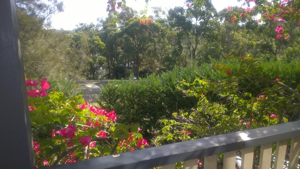 Linley Point NSW Hervey Bay Accommodation