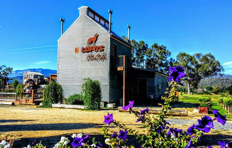 Lupos Loft - Hervey Bay Accommodation 1