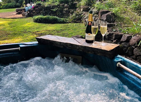 Lyra - Kangaroo Valley - Tourism Hervey Bay 2