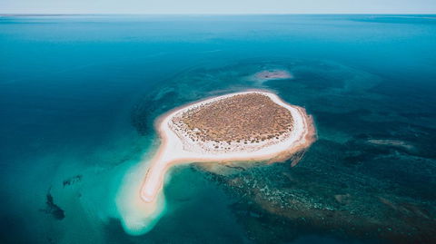 Mackerel Islands - Hervey Bay Accommodation 2