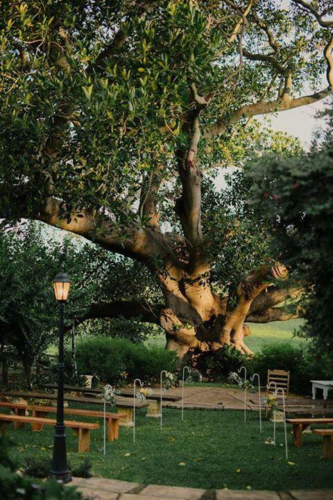 Maddies Of Bolwarra - Hervey Bay Accommodation 3