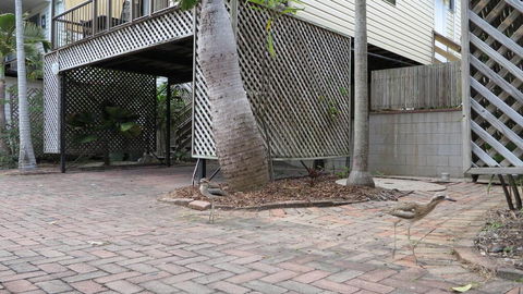 Magnetic Haven Unit 6 - Tourism Hervey Bay 2