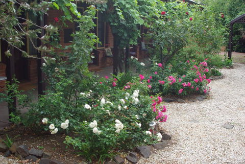 Motel Maldon - Hervey Bay Accommodation 0