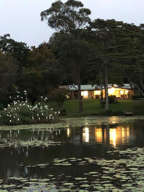 Maleny Lake Cottages-Guesthouse - Tourism Hervey Bay 3