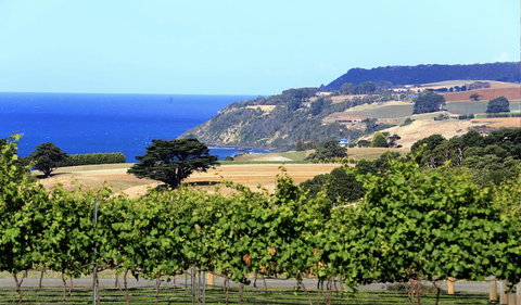 Mallavale Farm, Boat Harbour - Tourism Hervey Bay 0