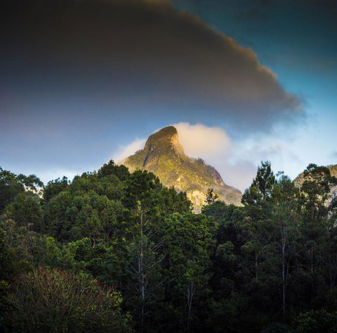 Mavis's Cabins @ Mt Warning - Hervey Bay Accommodation 1
