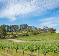 McLaren Vale Getaways - Tourism Hervey Bay