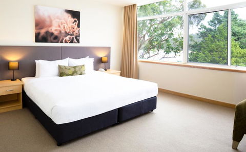 Metro Mirage Hotel Newport - Hervey Bay Accommodation 1