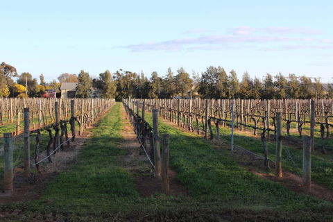 Milawa Vineyard Views - Guesthouse 1 - Hervey Bay Accommodation 1