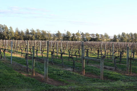 Milawa Vineyard Views - Guesthouse 2 - Hervey Bay Accommodation 0