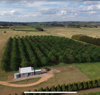 Millthorpe Truffles - Gorgeous getaway for 2 - Tourism Hervey Bay