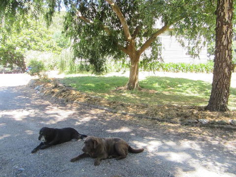 Molenda Lodge Farm Let - Hervey Bay Accommodation 3