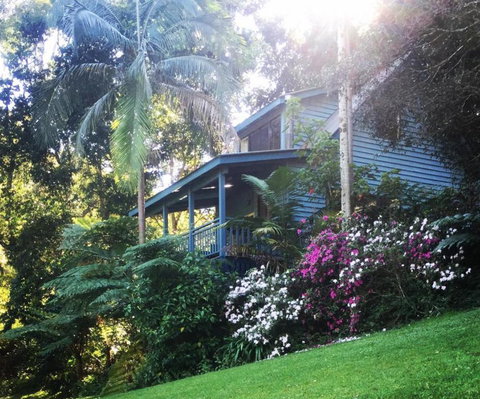Montville Country Cabins - Hervey Bay Accommodation 1