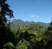 Mossman Gorge Bed and Breakfast - Tourism Hervey Bay