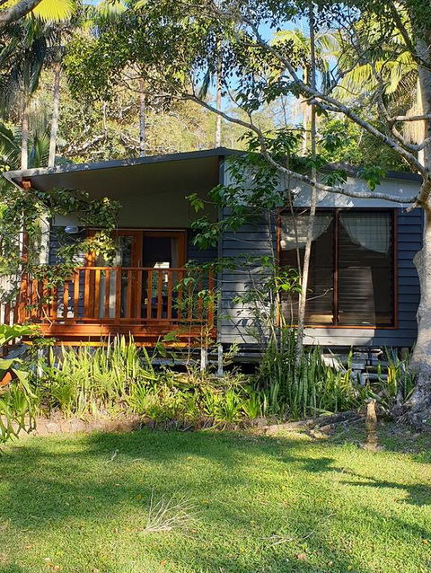 Mt Warning Rainforest Park - Tourism Hervey Bay 3