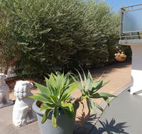 Mt.Lawley superb 2 BR Apartment Ideally located 5 - Hervey Bay Accommodation