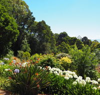 Murrindindi - Tourism Hervey Bay