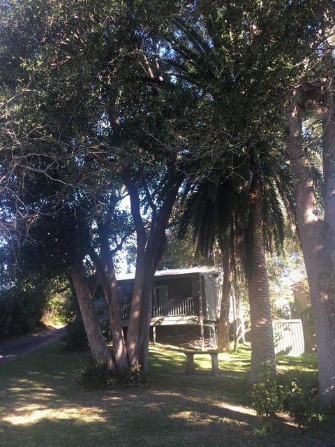 Neds On Northcote - Tourism Hervey Bay 0