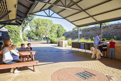 Discovery Parks - Woodman Point - Tourism Hervey Bay 32