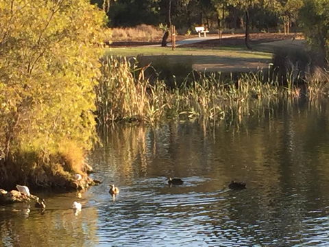Lakeside Views - Hervey Bay Accommodation 15