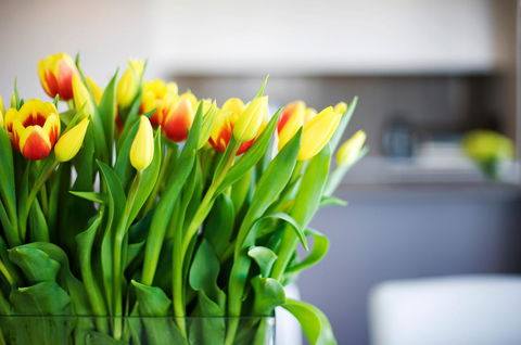 Claremont Quarter Luxury Apartment - Tourism Hervey Bay 11