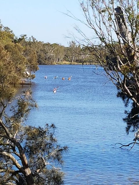 Jacaranda Hideaway Bed & Breakfast - Tourism Hervey Bay 19