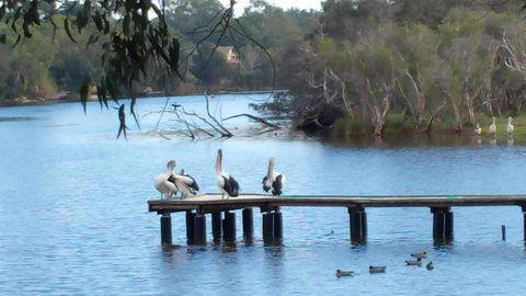 Jacaranda Hideaway Bed & Breakfast - Tourism Hervey Bay 18