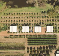 Swan Valley Sisters - Hervey Bay Accommodation