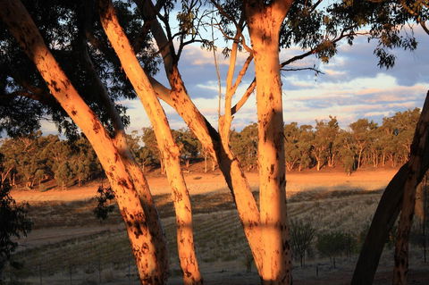 Hotham Ridge Estate - Tourism Hervey Bay 30