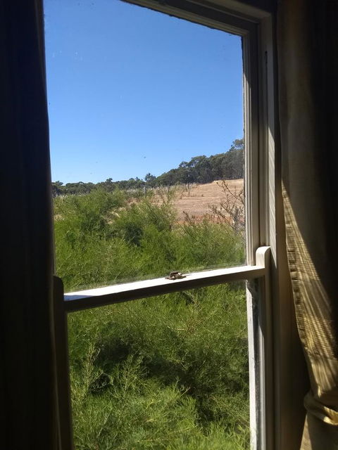 Hotham Ridge Estate - Tourism Hervey Bay 8