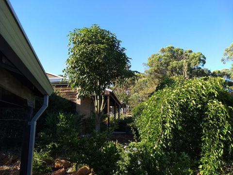Hotham Ridge Estate - Tourism Hervey Bay 5