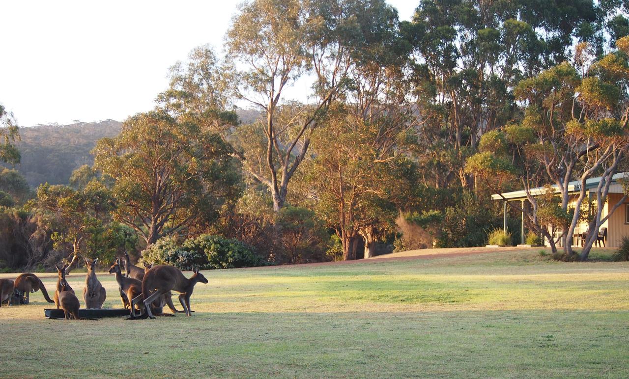  Tourism Hervey Bay