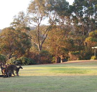 Riverside Retreat Chalets Walpole - Tourism Hervey Bay