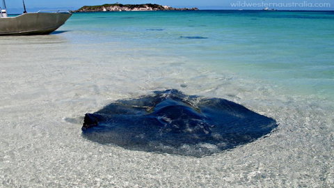 Turner Brook Chalet - Hervey Bay Accommodation 3