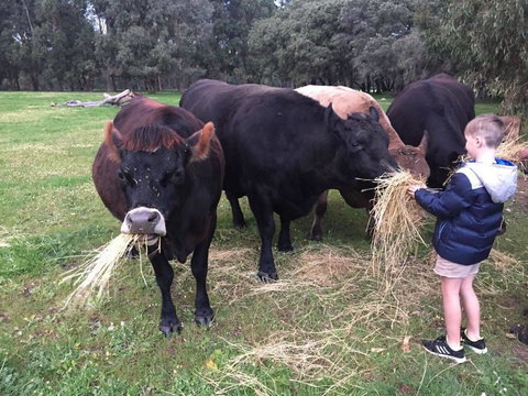 Turner Brook Chalet - Hervey Bay Accommodation 6