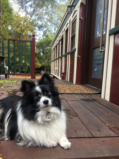 Quiet Escapes Cottages - Hervey Bay Accommodation 15