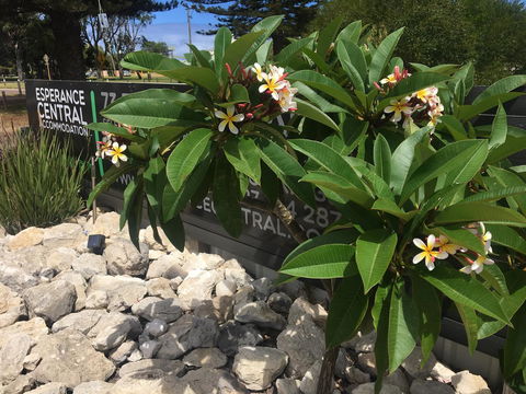 Esperance Central Accommodation - Hervey Bay Accommodation 3