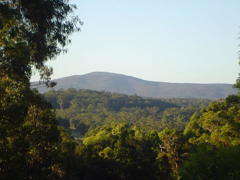 Kangaroo Valley Cottage - Tourism Hervey Bay 19